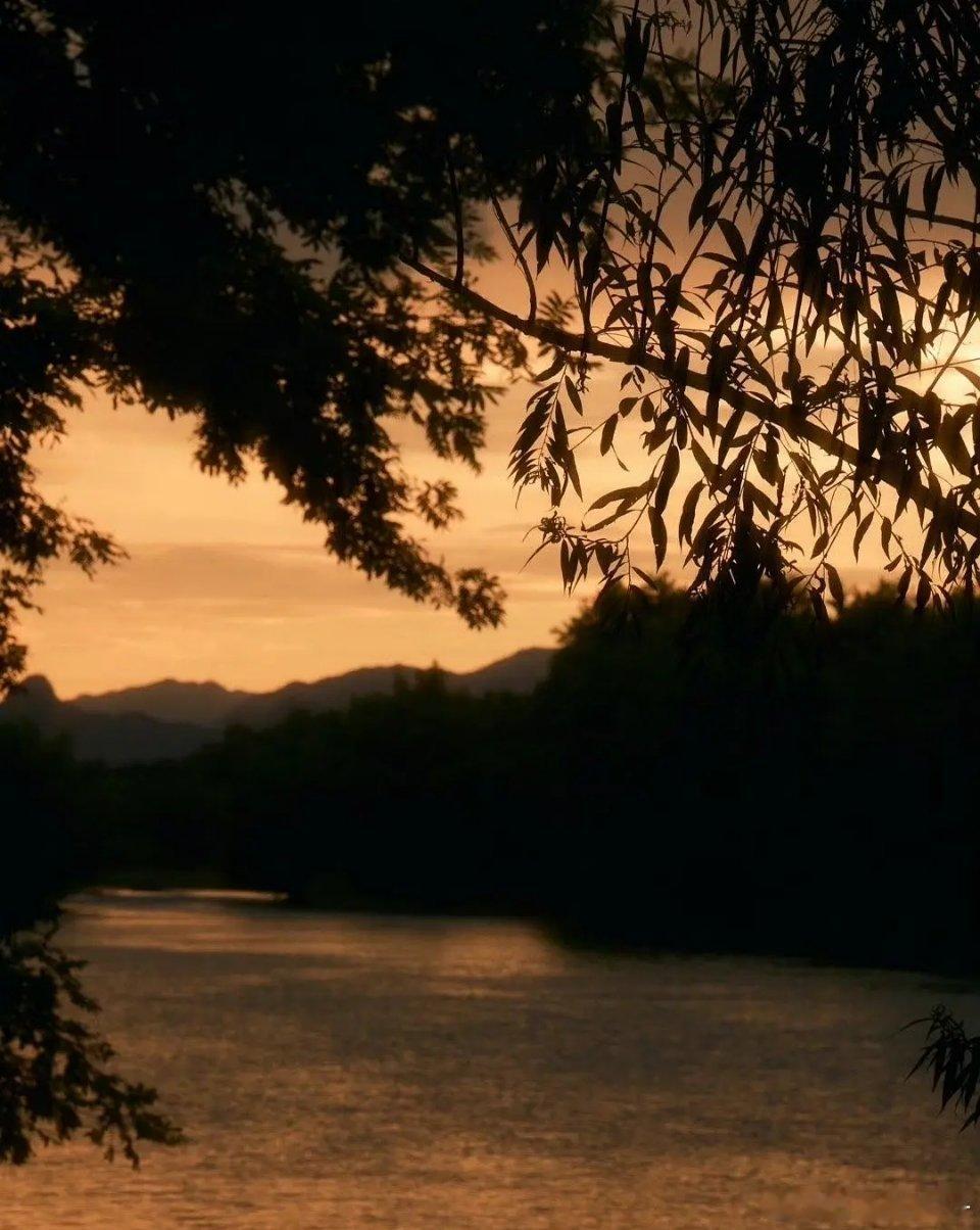 贵女的布景什么水平 ​​​