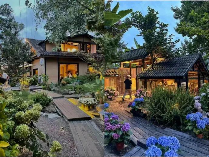 乡村院子改建、年营收400万元、小院天花板？

树下酒馆，汉唐风主题小院。

亮