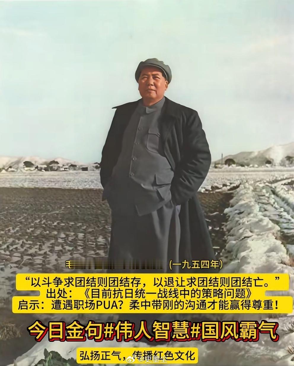 能让人从慌乱里慢慢站住脚，这能力比很多花哨本事都实在。 