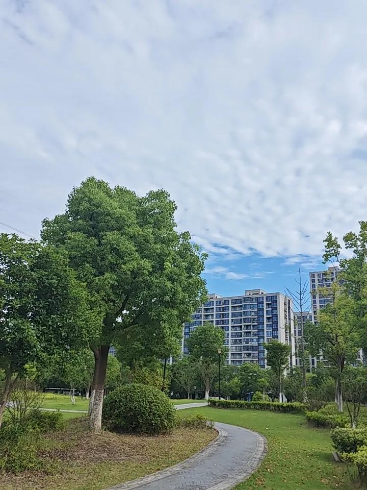 养生最大的讽刺：你花光退休金买保健品，不如先守好这6个不要钱的习惯

真正的养生