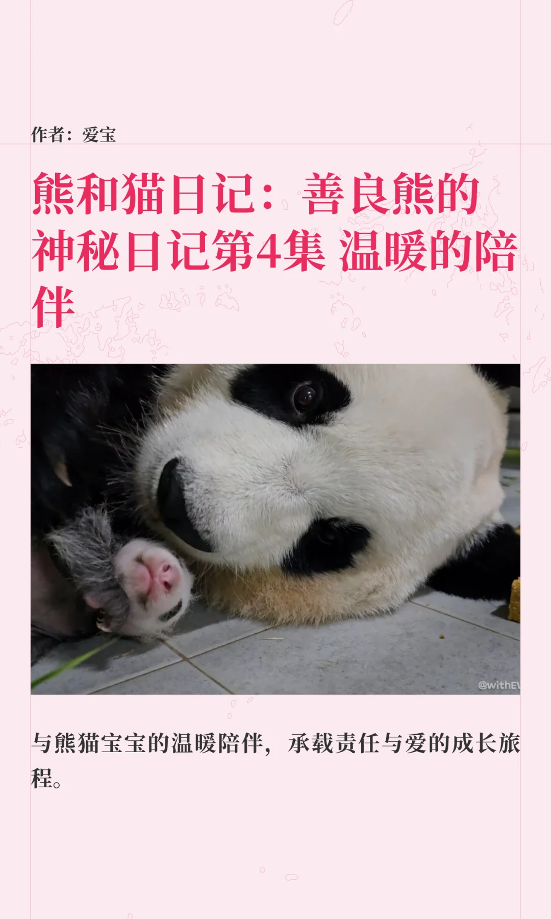 【熊猫宝宝日记 第三季】第4集 温暖的陪伴