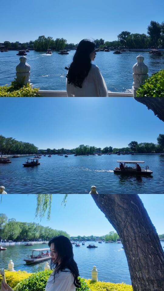 什刹海的蓝色浪漫，live图太有生命力了！
