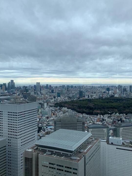 东京市都厅观景台