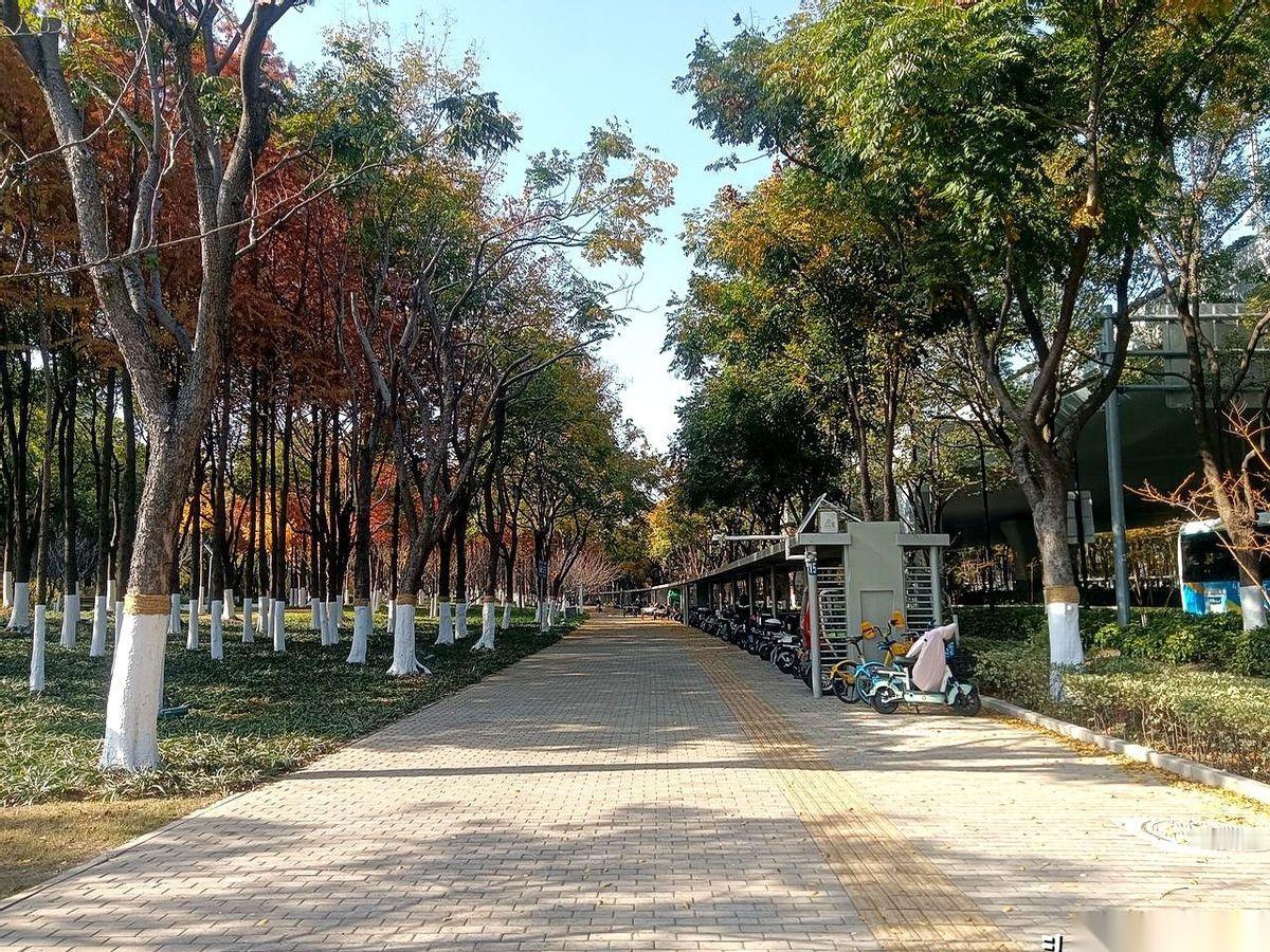 我跟你说，缺爱这事儿，根本藏不住。
别人稍微对你好一点，给你递杯水，说句“辛苦了