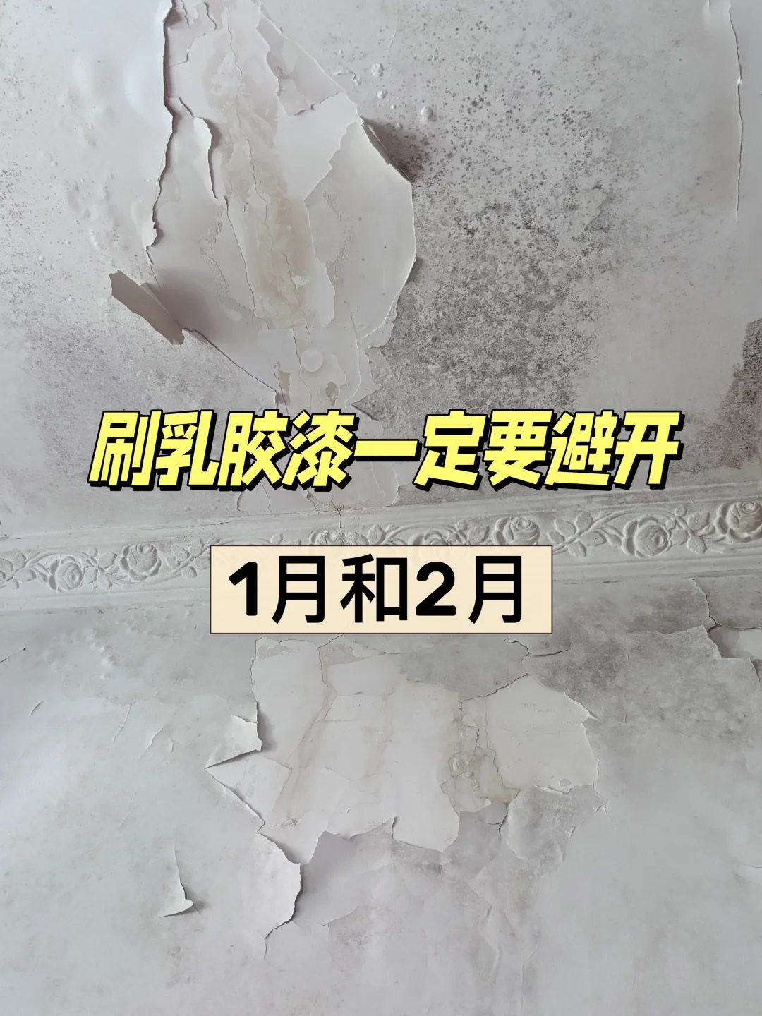 冬季刷乳胶漆避坑指南！这些血泪教训要记牢