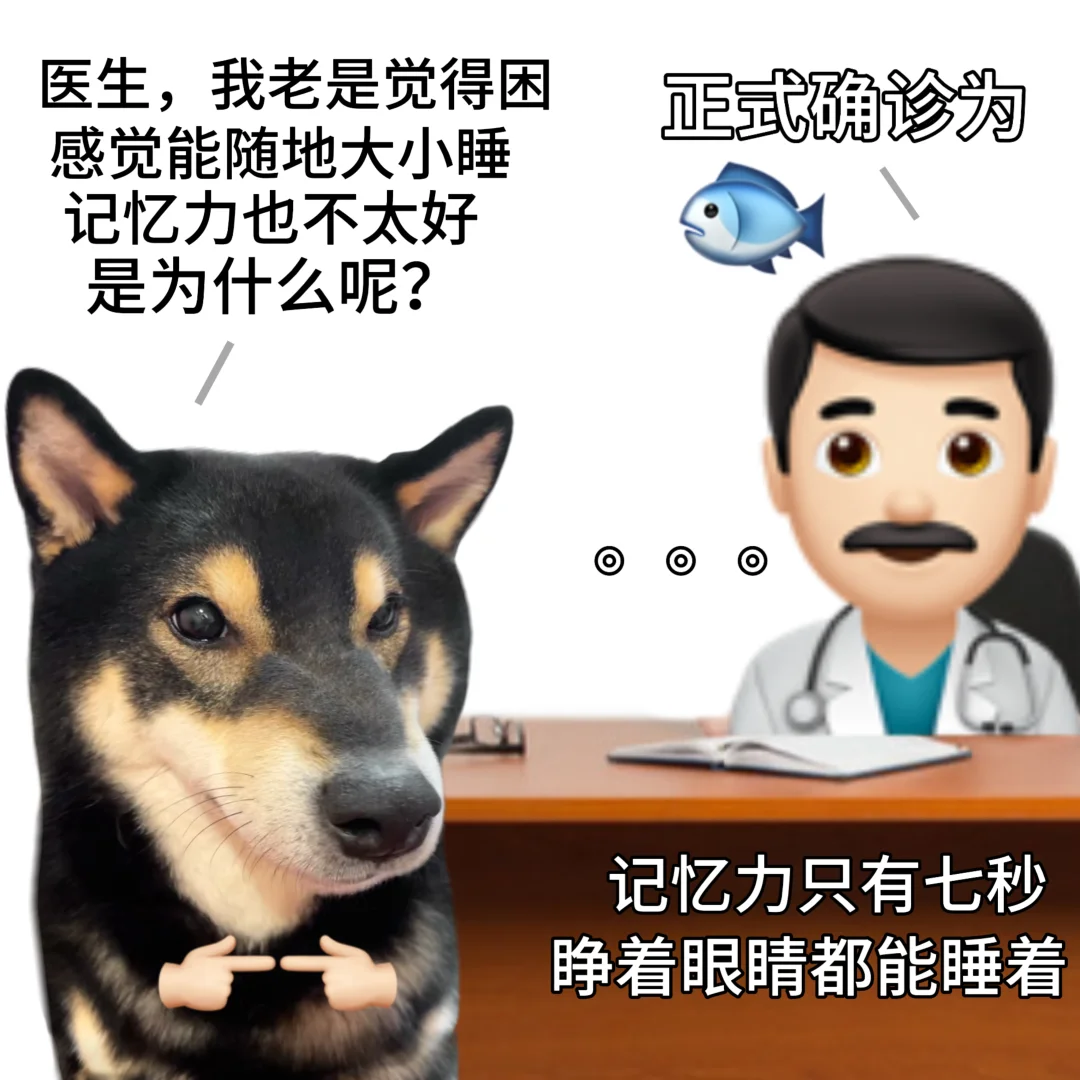医生，妙手回春啊医生👨🏻‍⚕️