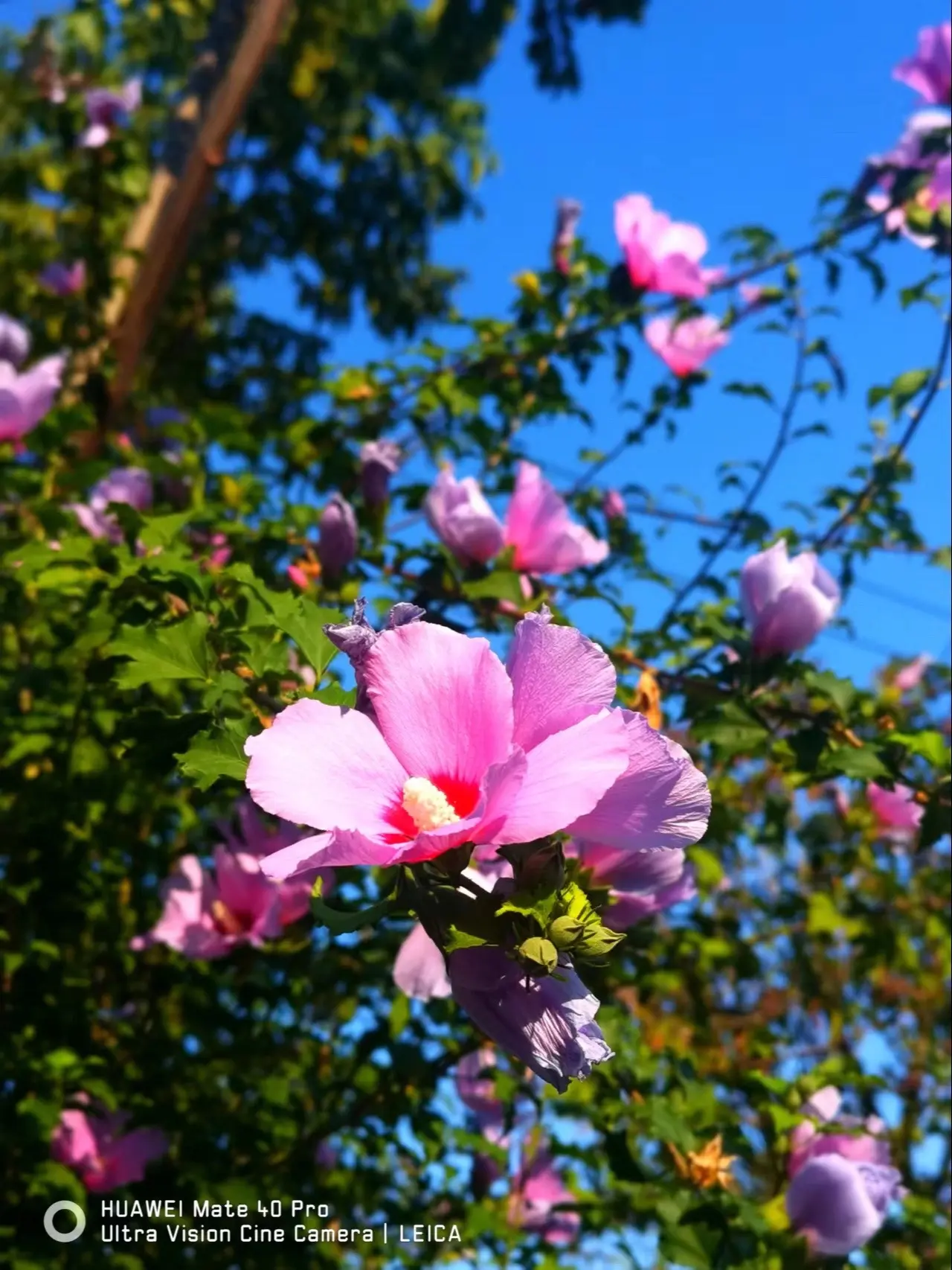 爱的世界，全都是因为你♥️