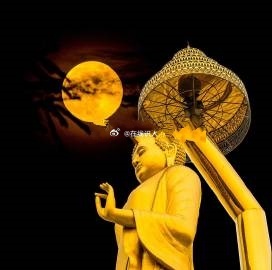 祈愿所有有缘人皆能身康体健，远离病痛折磨；仕途通达，感情美满和谐；心境平和，自得