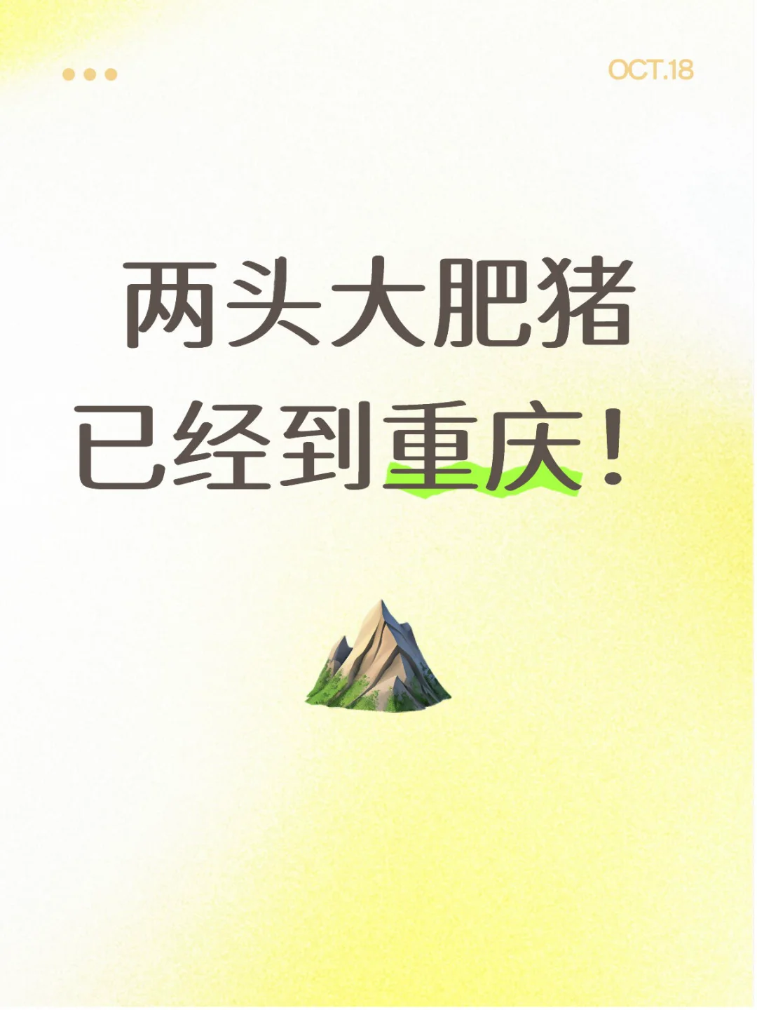 两头大肥猪已经到重庆！！！！！