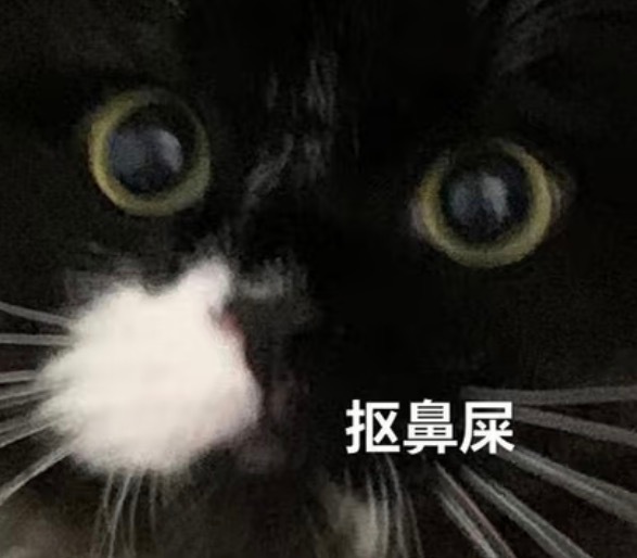 2026TF家族运动会TF家族运动会彩蛋计划提问左航:宝宝现在最喜欢的平常也会做