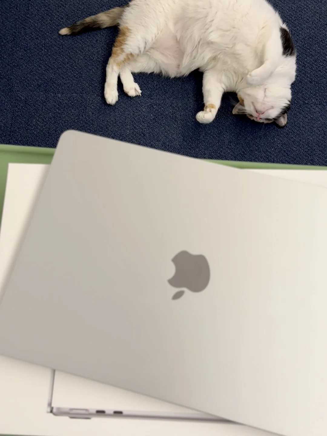 孩子非要买苹果电脑