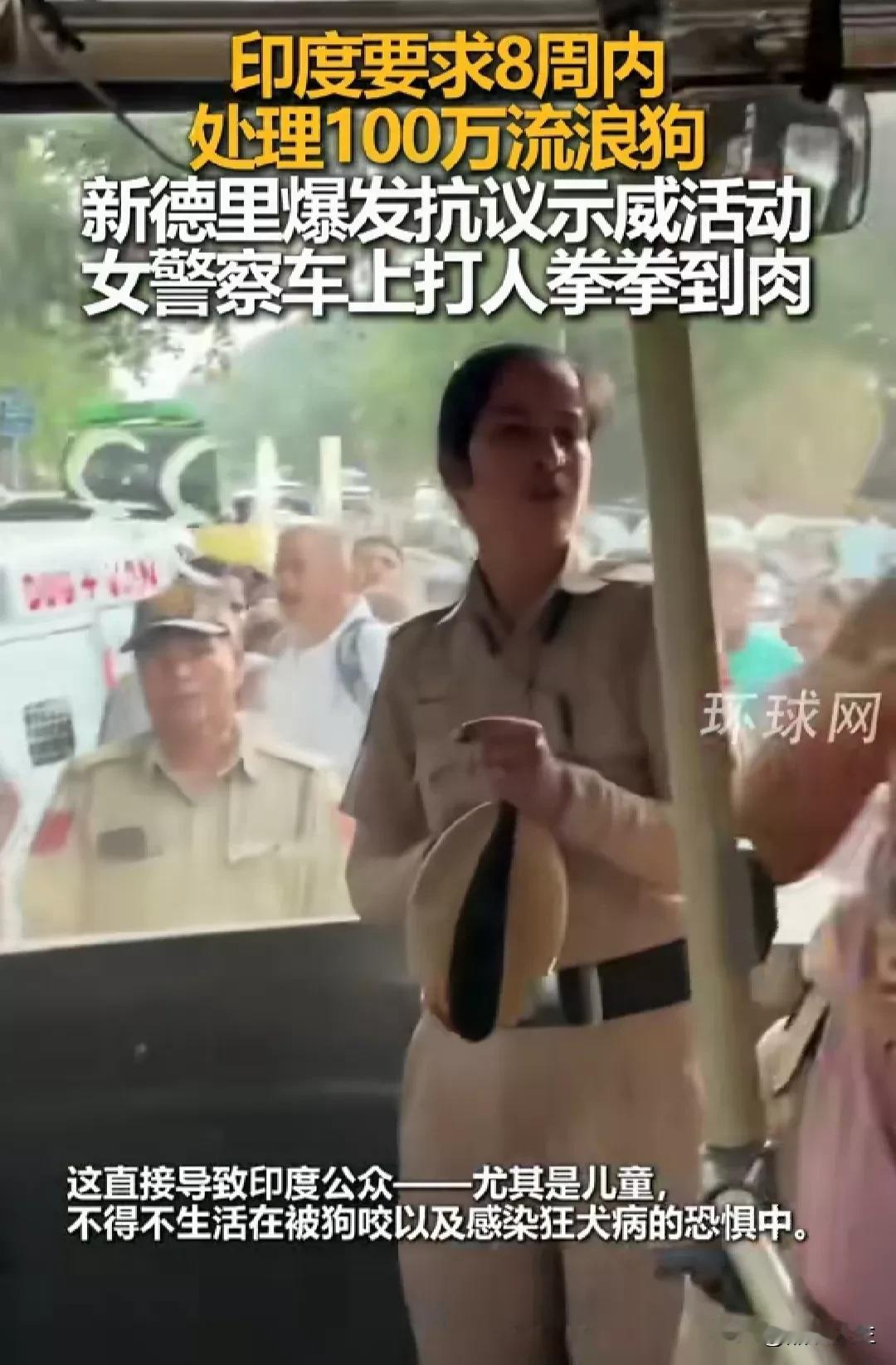印度爱狗人士反对政府处理100万流浪狗，在车里和女警打了起来。
印度是一个非常神