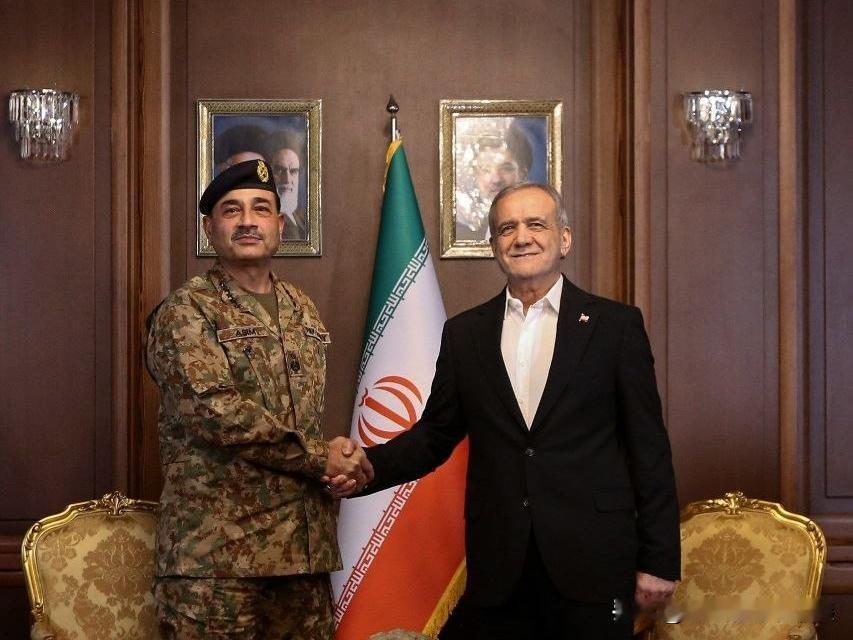 伊朗总统直接摊牌：
4月17日最新消息，伊朗总统佩泽希齐扬在16日会见巴基斯坦陆