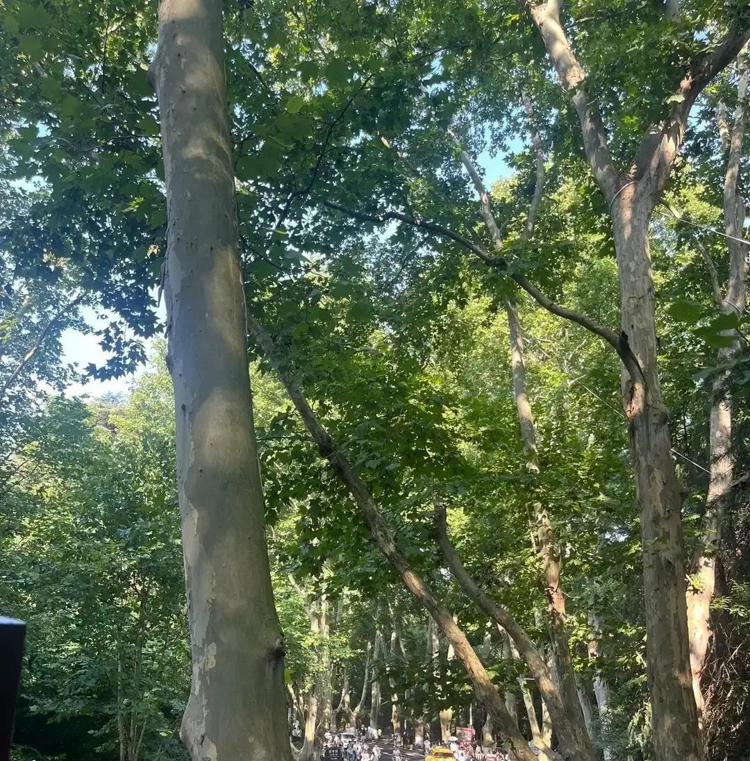 提前通知一下，

大家好有个心理准备。
明天8月23号，末伏最后一天就要收尾了，
