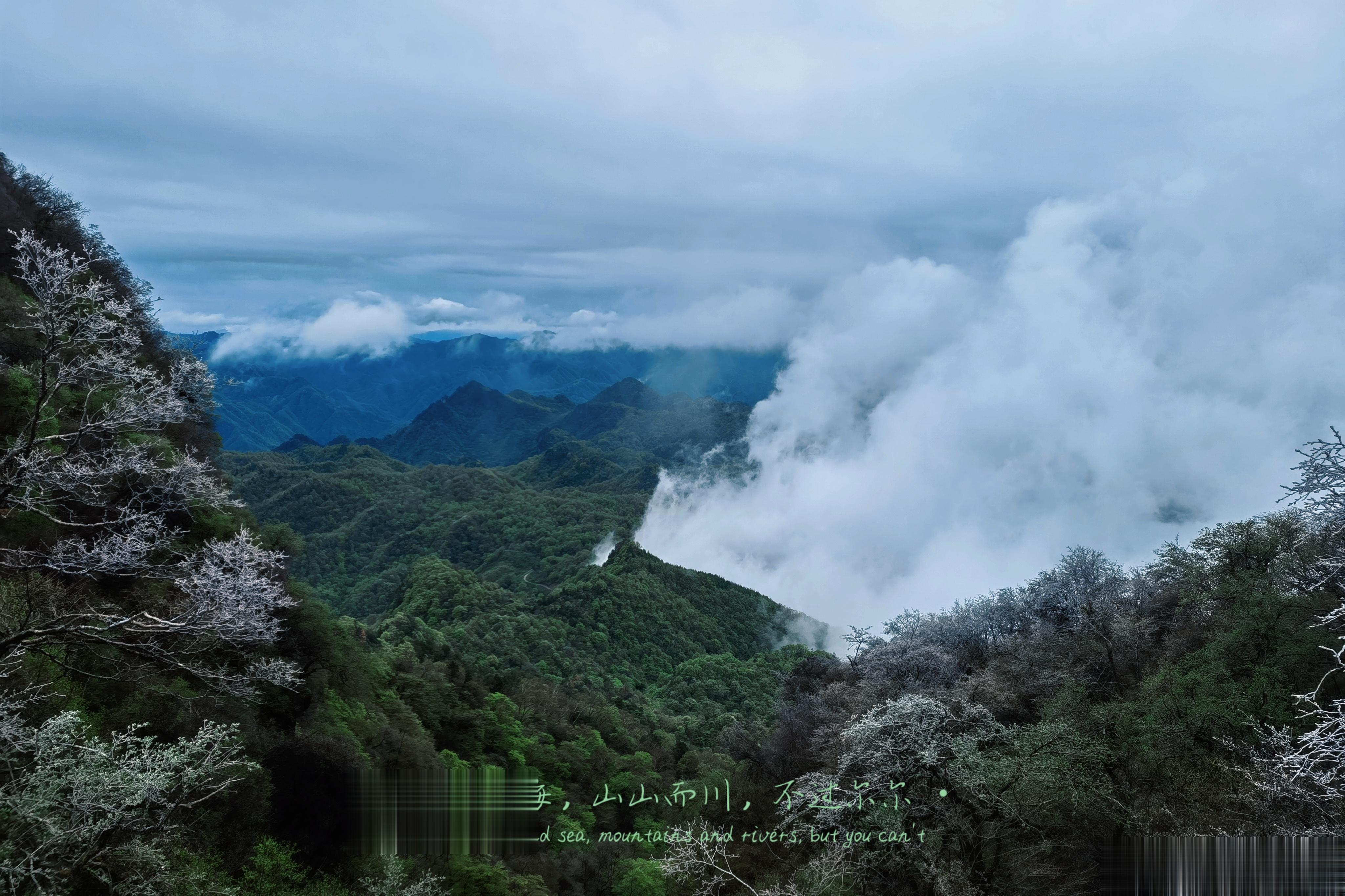 在春之初来到旺苍盐井河大峡谷，奔着杜鹃花海而来，不巧的是正赶上阴天，怀着忐忑的心