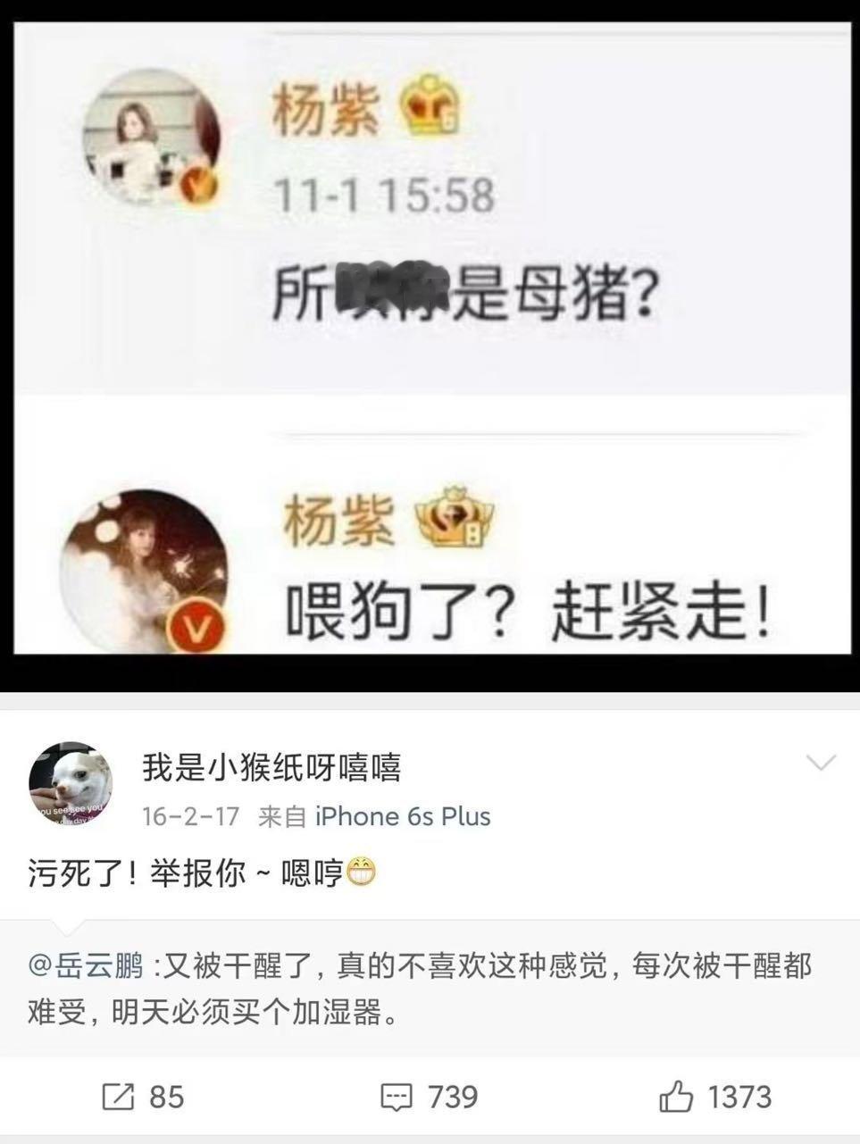迪丽热巴手机壳从销量2涨到3000多 网友发现杨紫粉丝对迪丽热巴使用的手机壳反应