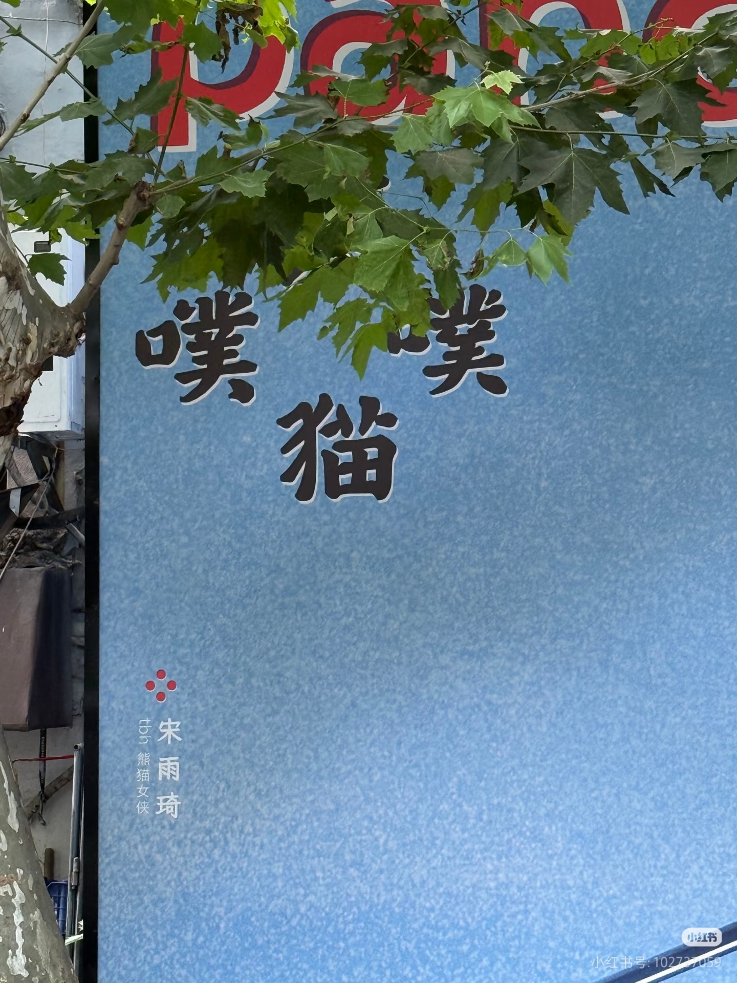 宋雨琦tbh最新地广 熊猫噗噗 不会又是联名吧🤔 