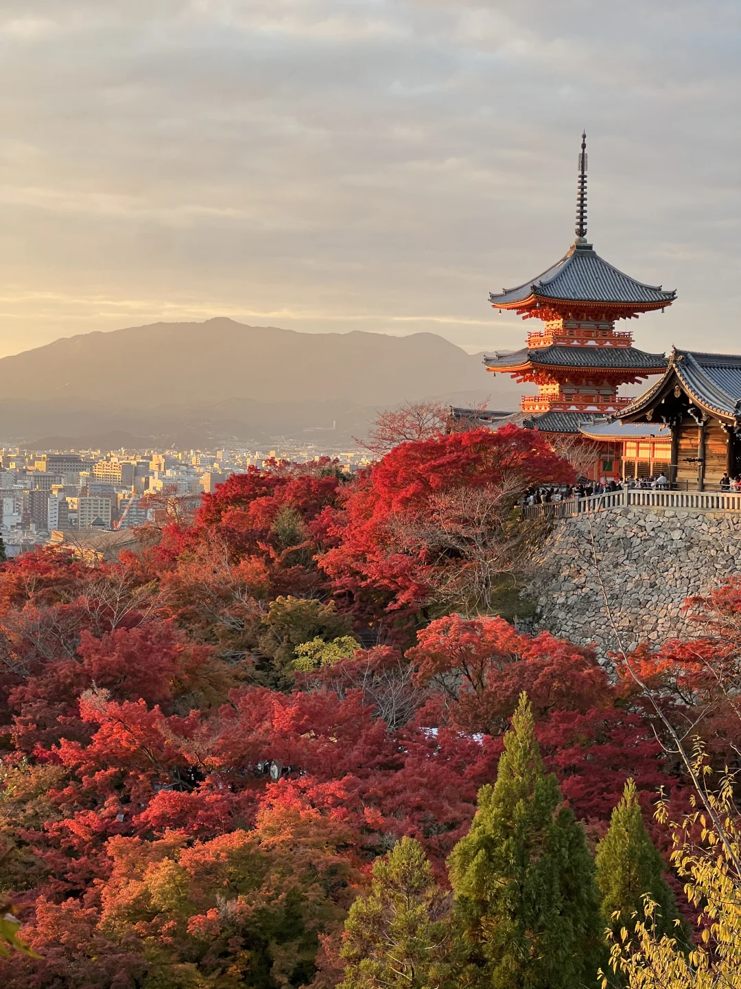 🍁京都｜清水寺｜日落