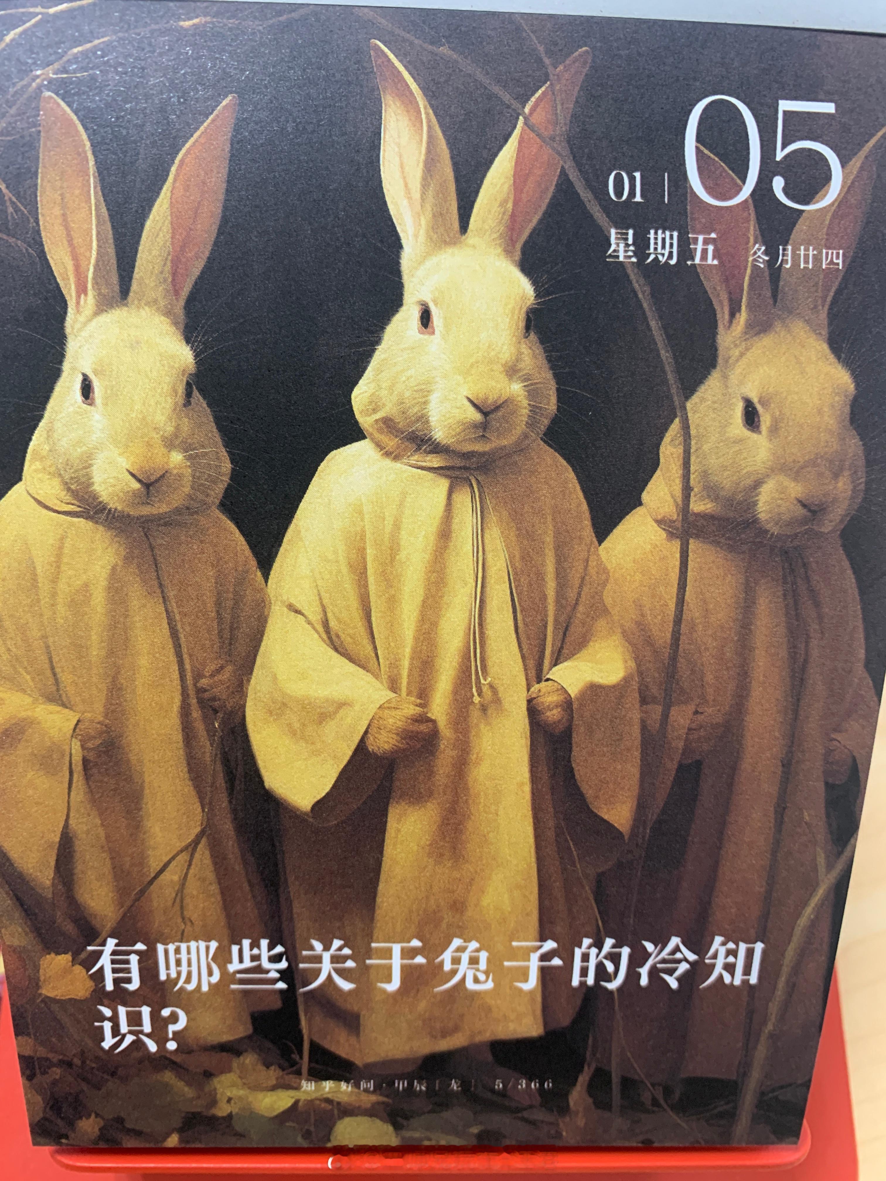 早上好大家～你知道哪些关于兔子的冷知识[doge]，欢迎评论区赐教～ ​​​