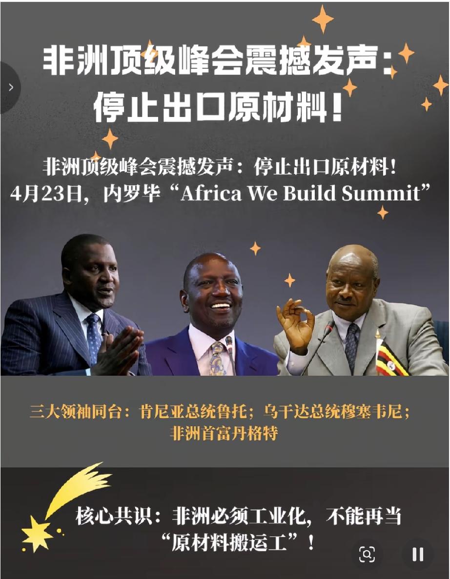 说实话，非洲这几个国家太高看自己了，啥叫矿？所谓矿，得有人采那才叫矿，没人采，那