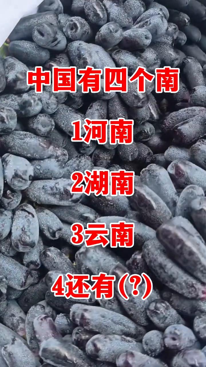 目前没有一人答对中国有四个南：1河南；2湖南；3云南；4还有(？)南京。南京错了