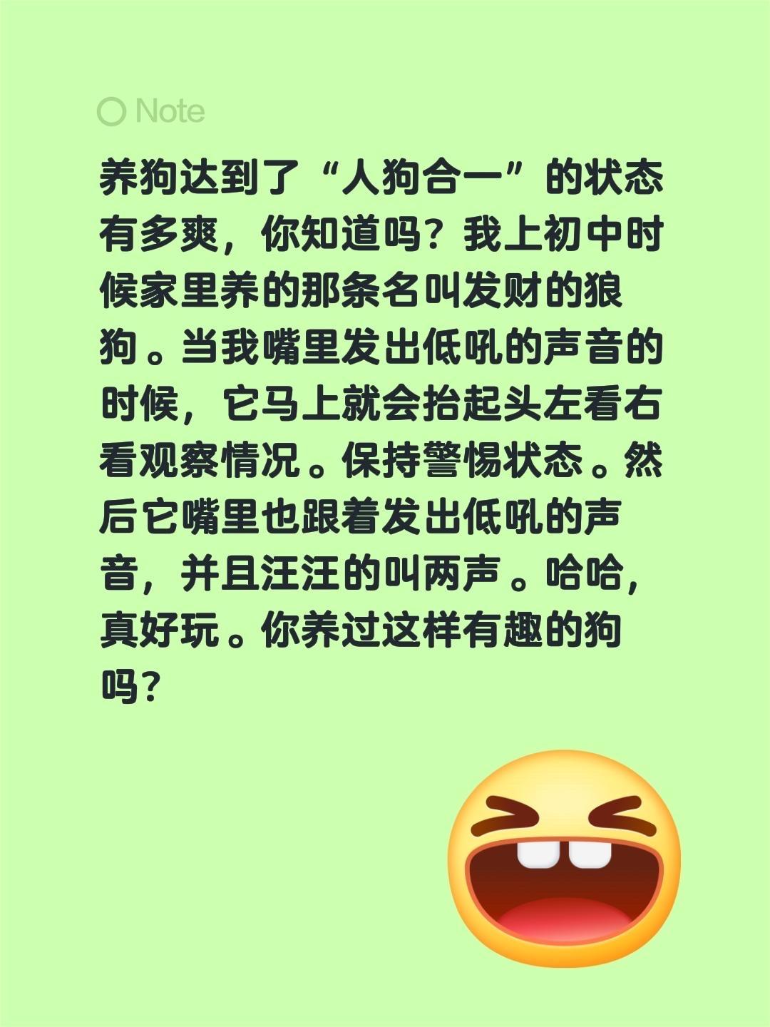 这是不是传说中的“人狗合一”的境界？养狗达到了“人狗合一”的状态有多爽，你知道吗