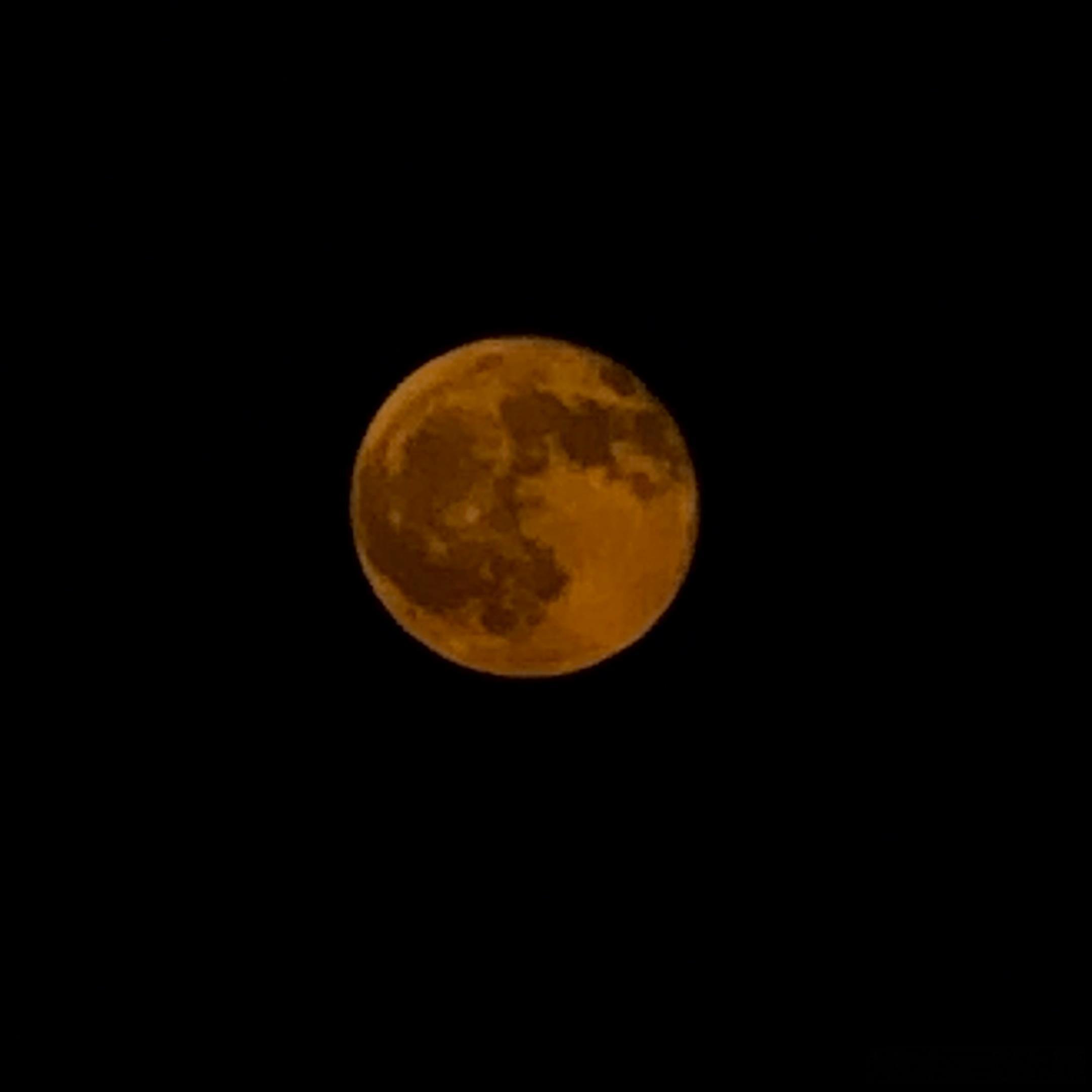 🌕 