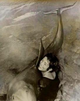 1965年，美国一女子在实验时，竟然和公海豚发生了感情，没多久实验便被迫终止，公