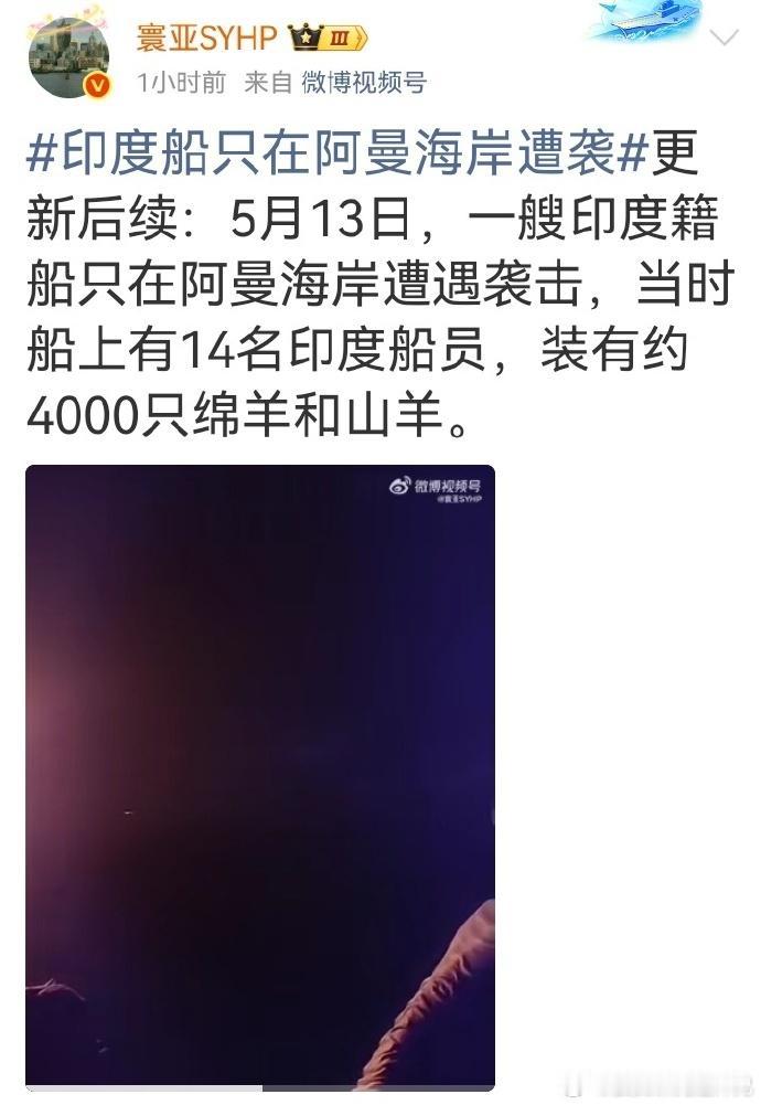最搞笑的就是阿三。别国的船冒着生命危险去战区，都是运几百万桶油。他们挨打是为了运