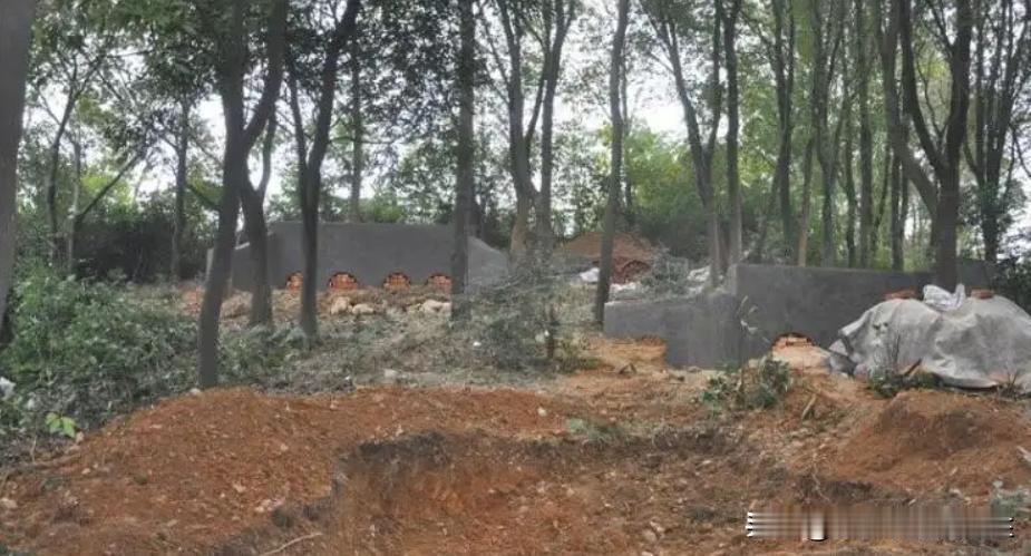 为何很多学校选址在坟地甚至乱葬岗？“十个学校九个坟”的现象背后原因是什么？
19