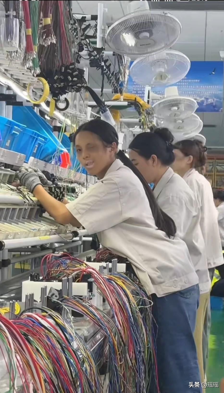 赶紧跑路吧