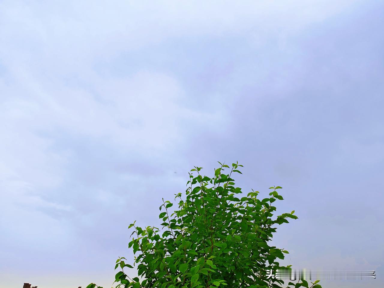 浮士德难题在现代社会的体现：
 
浮士德难题的核心是：人以灵魂、良知、底线或永恒