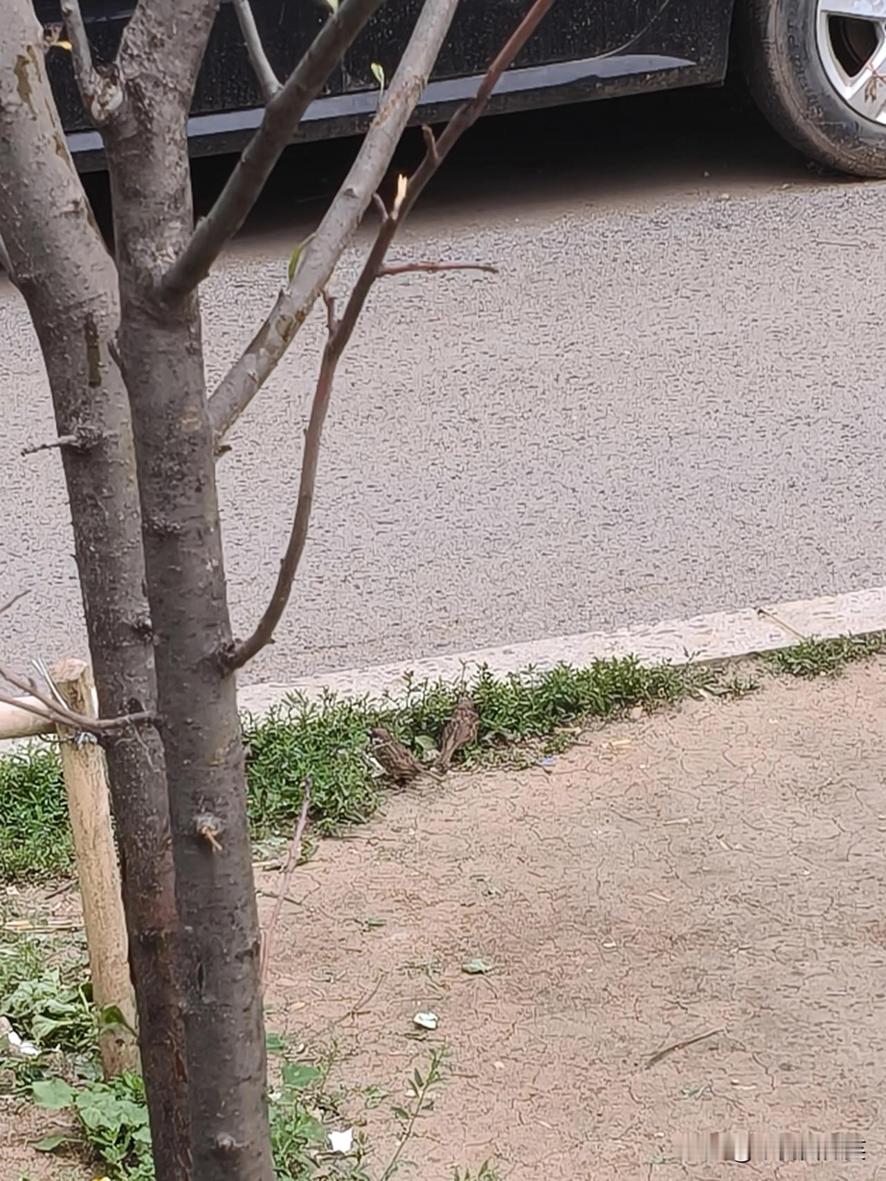 都算