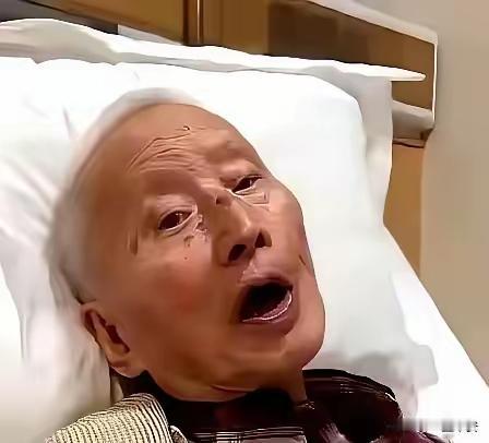老人90多岁了，有一儿一女，两个孩子都很优秀，都去了外国发展，老伴活着的时候，他