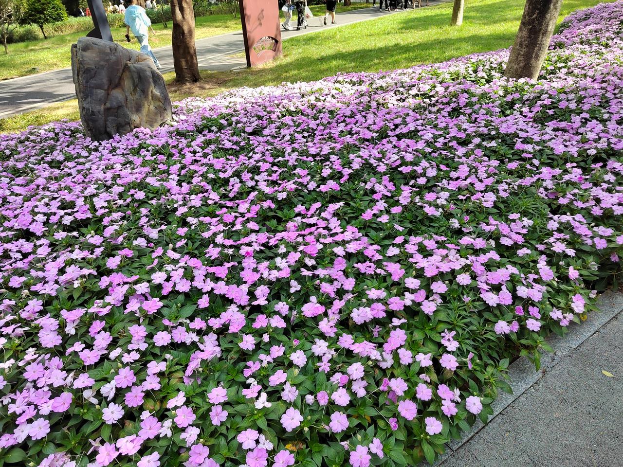 今天上证指数仅跌0.7%却吞掉了太多数股票昨天的全部涨幅，A股这魔幻行情，戳中千