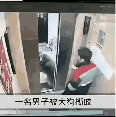 最绝望的几十秒：电梯门开，恶犬扑来！狗主人，你的心到底有多大？
 
【正文】
0