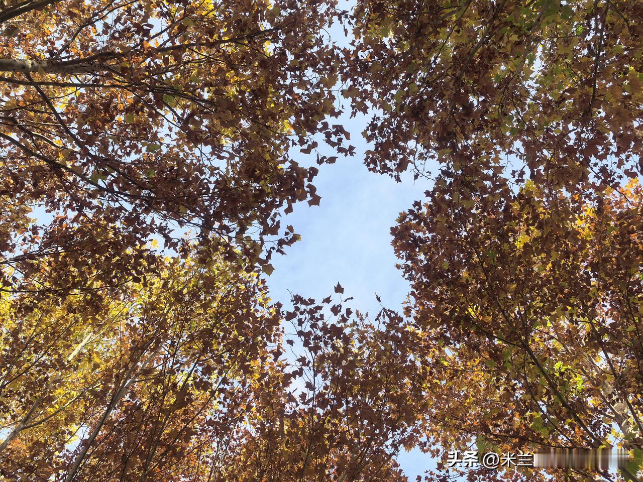 美股狂泻400多点，咱们的A股能否稳住？近期，全球资本市场可谓是波澜起伏。上周，