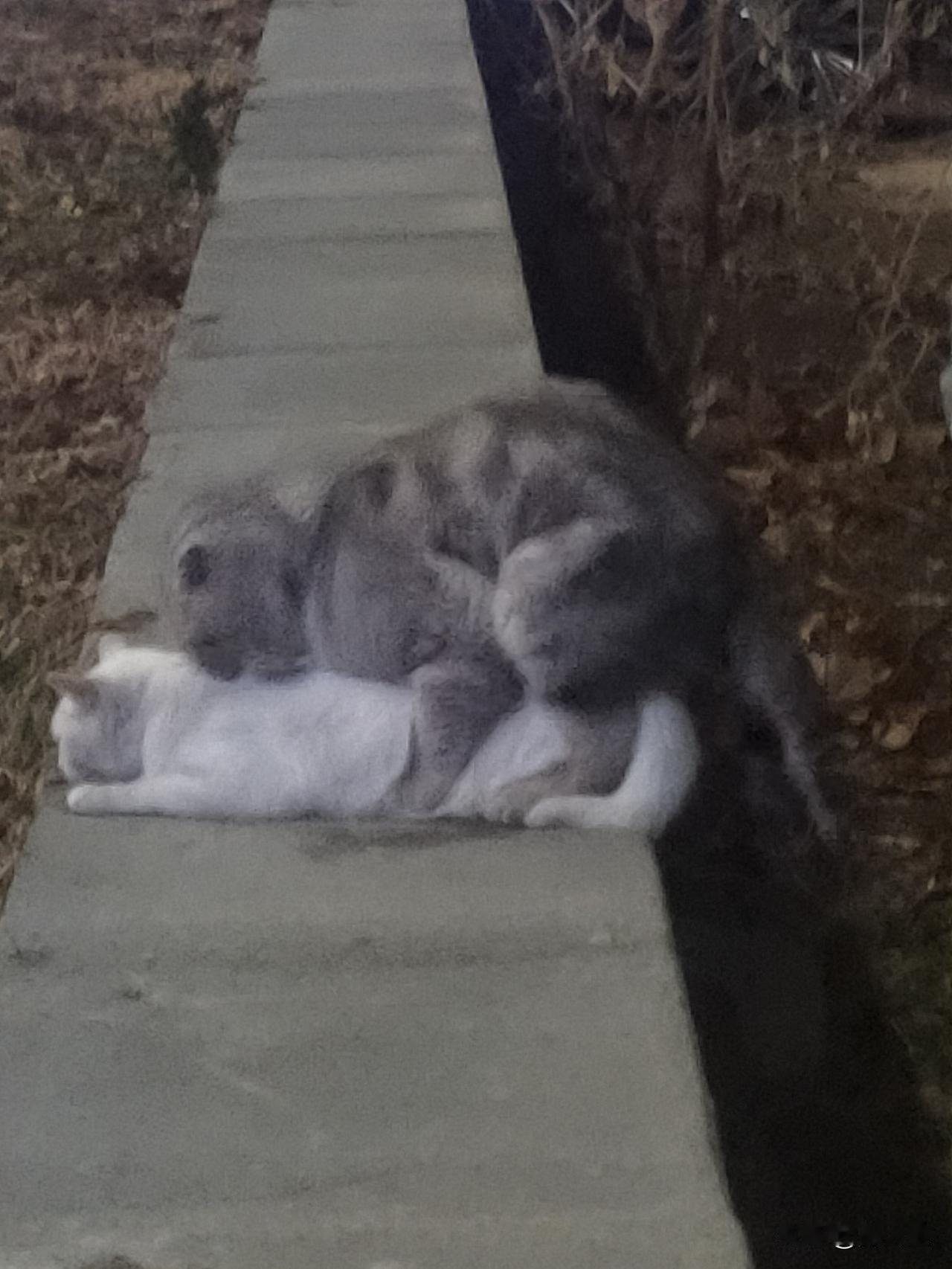 你愿意接受自然的衰老吗? 三十岁前，我总觉得青春无敌，通宵熬夜第二天依旧活力满满