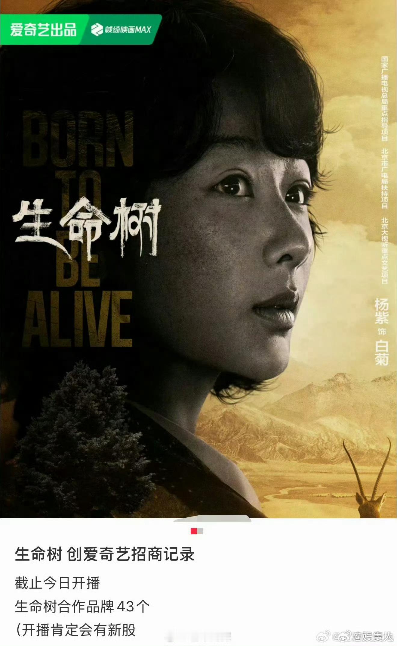 生命树破平台招商记录生命树招商破纪录生命树合作品牌多达43个，破平台招商记录 