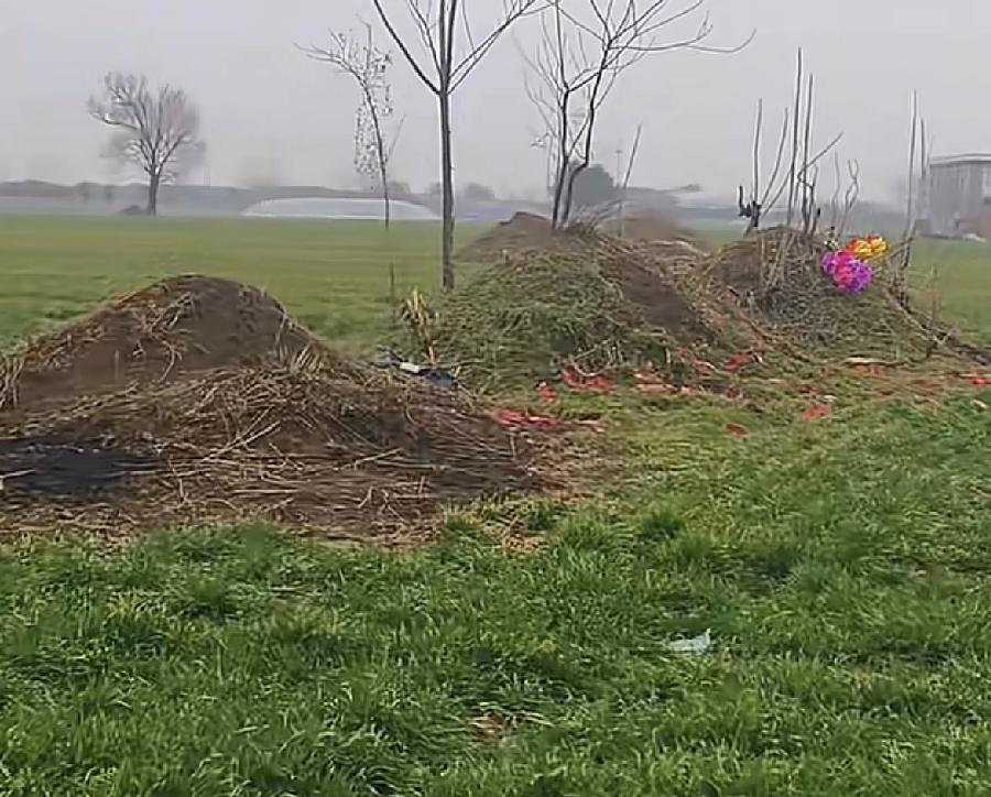 回家过年，发现村里的人又走了几个。站在村口看着那些新坟旧坟，突然发现时间过得真快