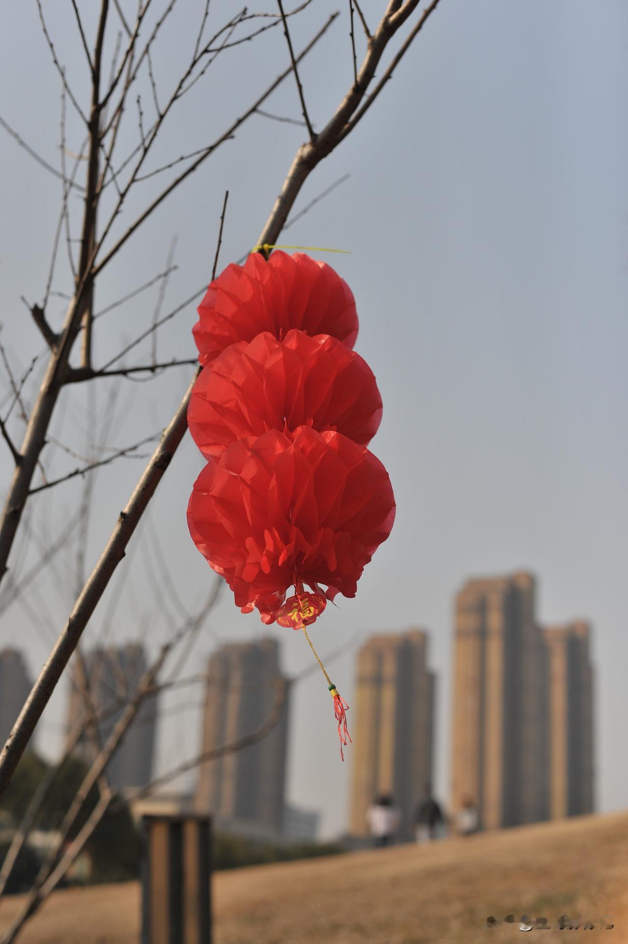 蛇年春节越来越近了。
