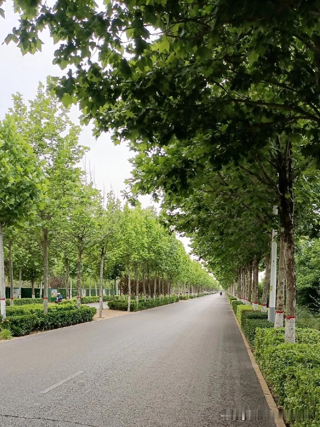 中年觉醒：心宽一尺，路宽一丈！
    
     时间如水，岁月如梭，一晃已到