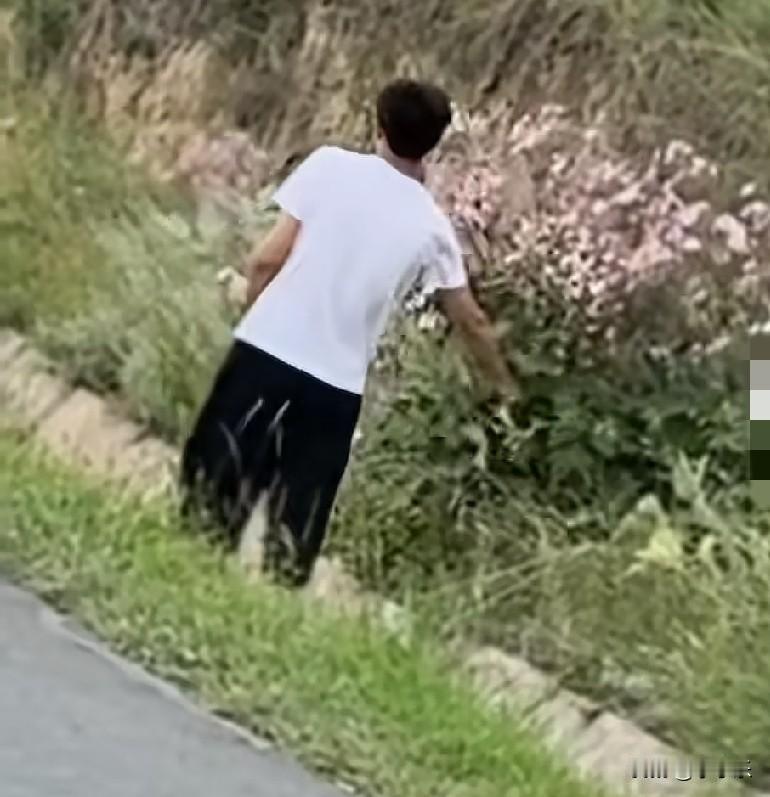 8月17日，甘肃定西，一男子摘下路边的野棉花，大方地奔向结婚12年的妻子，满满一