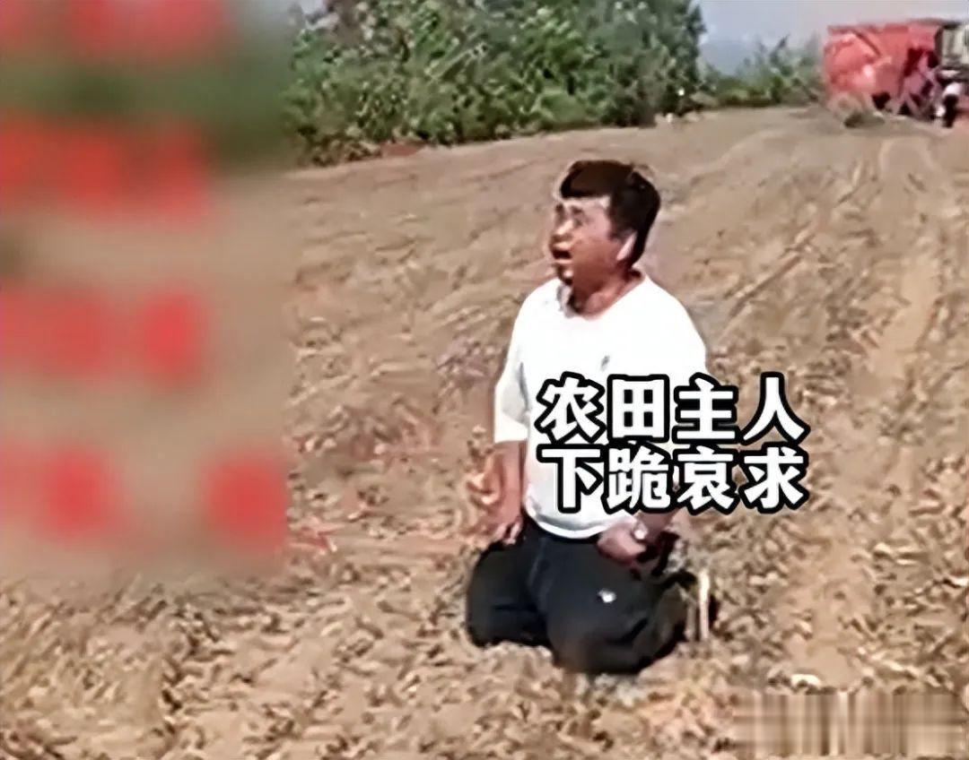 太无奈：男子怕收割机伤人给拾花生村民下跪：收割完花生随便捡
河南周口的一位老人在