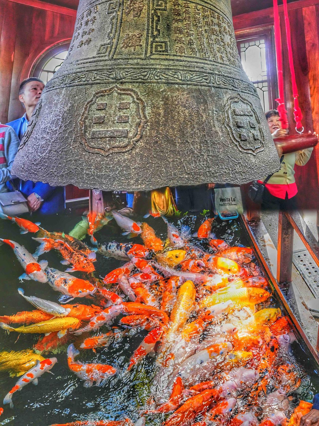 🗺️路线
这次西门进东门出，不走回头路，参观完出去直接步行到枫桥夜泊景区

西