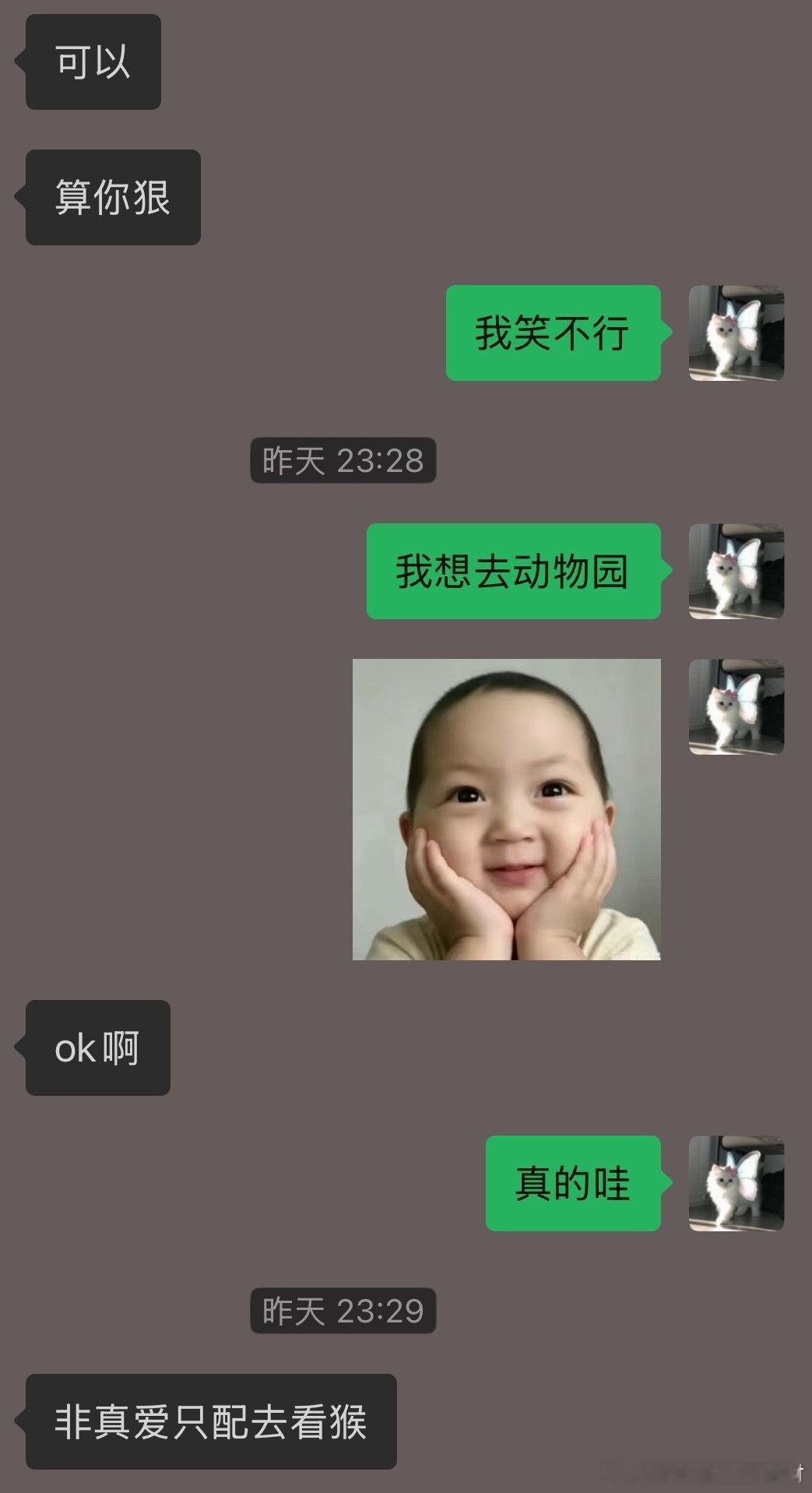 “非真爱只配去看猴” 