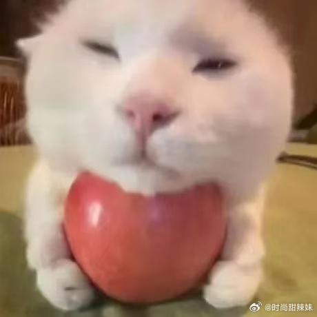调休为什么总能吵翻天 吵翻天背后是大家对美好生活的向往，有期待才会有不满，有不满