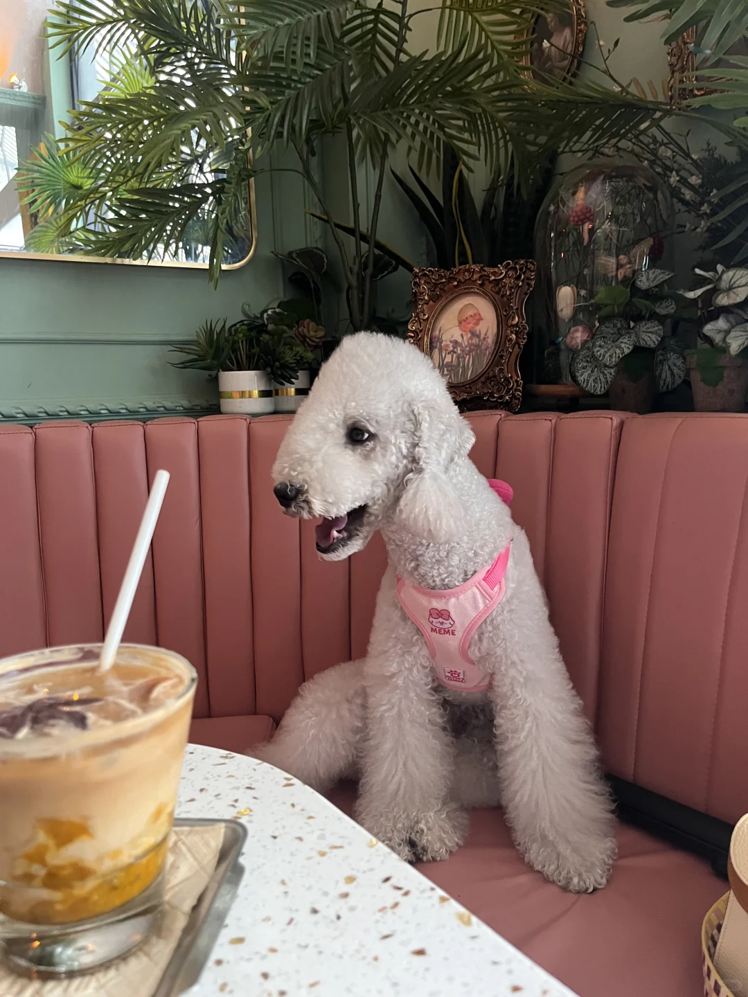 昆明丨松弛感满满的白日咖啡馆