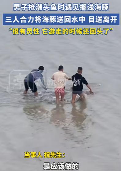 万物皆有灵！杭州，一条海豚被搁浅在了钱塘江岸边，就在它奄奄一息的时候，被三位赶潮