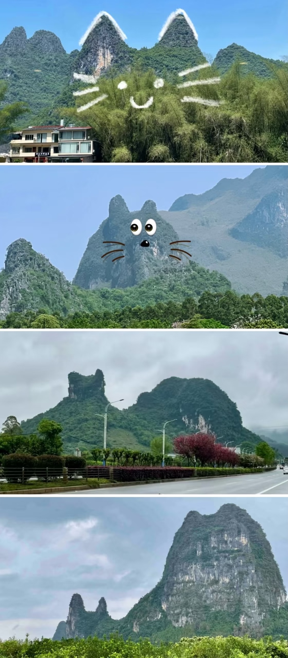 世界是个巨大的猫猫 